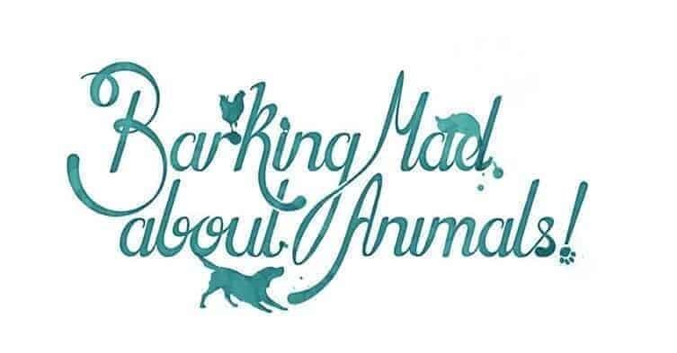 barking mad listed on bridlington net business directory