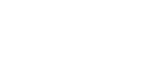 bridlington birds of prey logo white 1