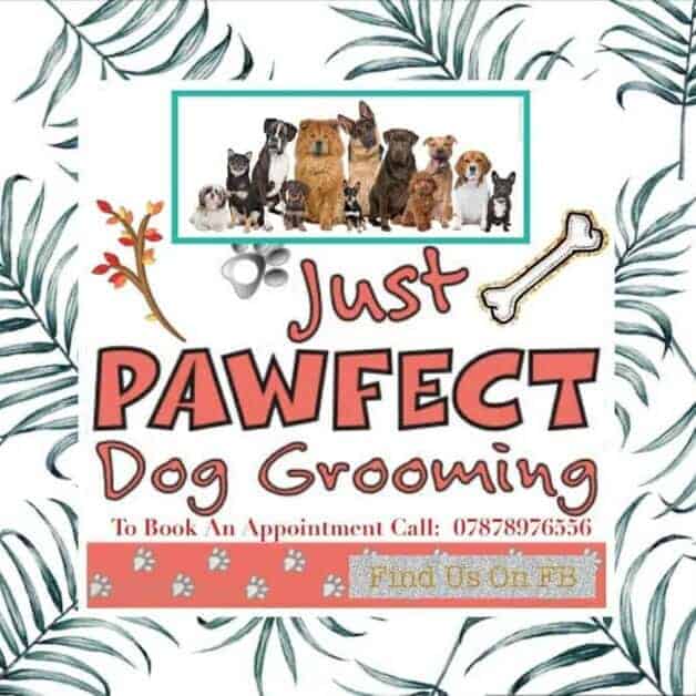 just pawfect dog groomers listed on bridlington net business directory