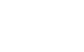 nettl of bridlington logo 1