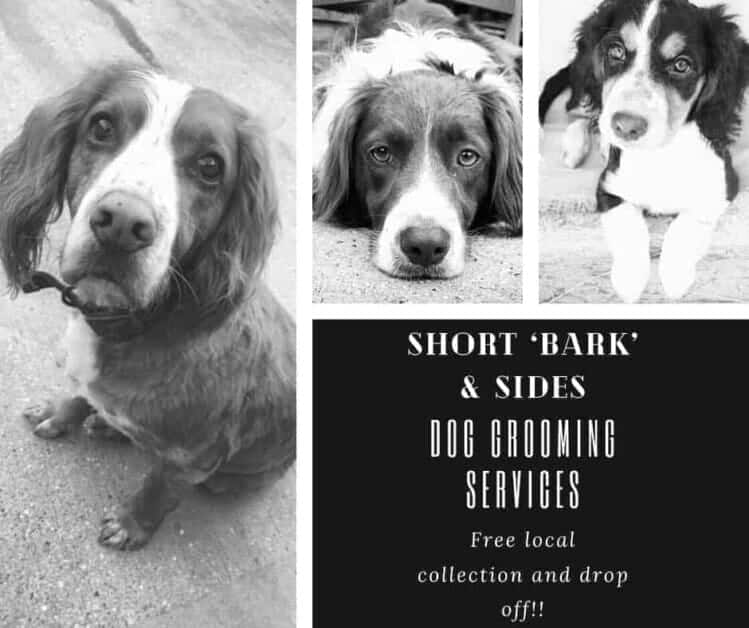 short bark and sides listed on bridlington net business directory 2