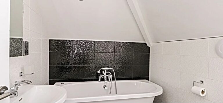 expanse apartments gansey girl bath 768x357