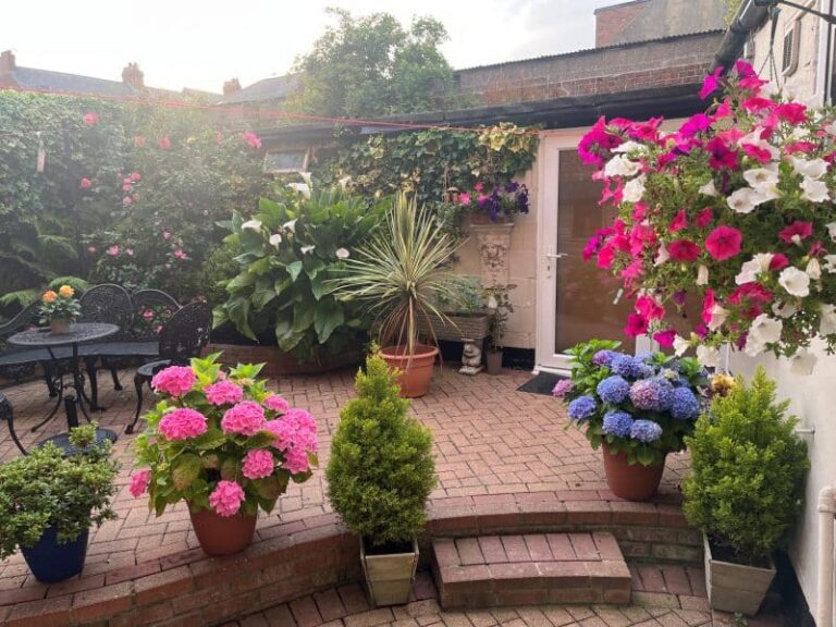 new garden photo scaled e1716378889988 768x576