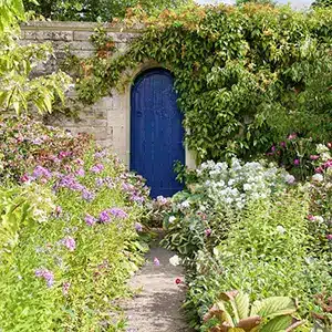 Old Town Secret Gardens