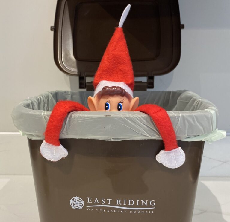 Binny the recycling elf