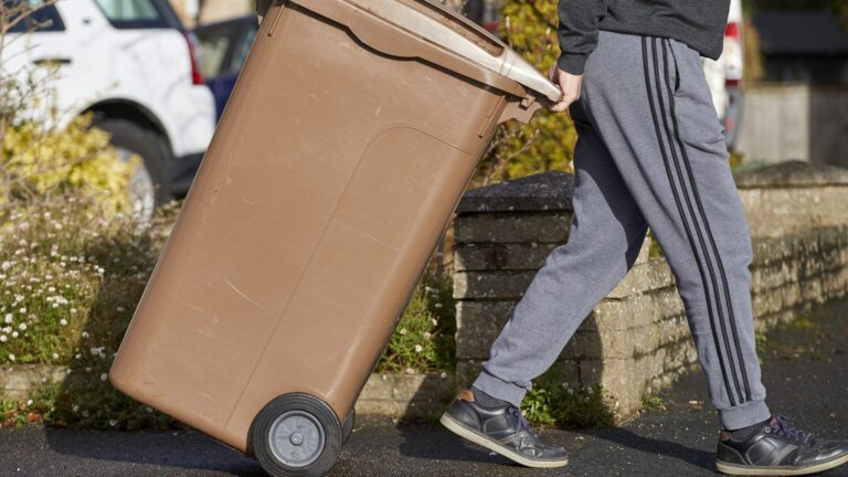 Brown bin collections go weekly starting in February.