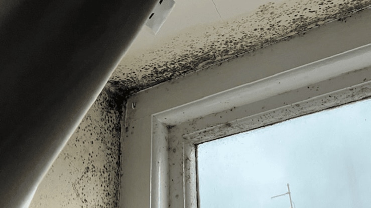 Councils work with letting agents, private landlords and GPs to counter damp and mould