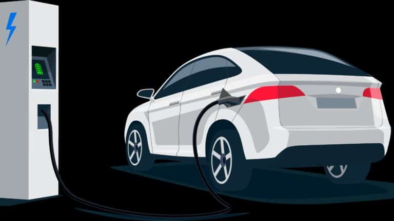 The council has launched a new website as part of a £100,000 EV project.